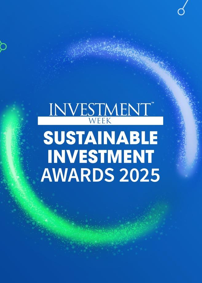 Sustainable Investment Awards cover image