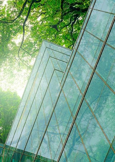 Annual Sustainability Week Cover image 