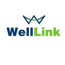 Well Link Consultants Ltd logo
