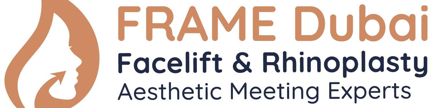 FRAME Dubai cover image