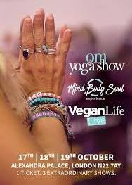 Mind Body Soul Experience Cover Image 