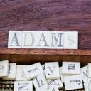 Adams Antiques Fairs Ltd logo