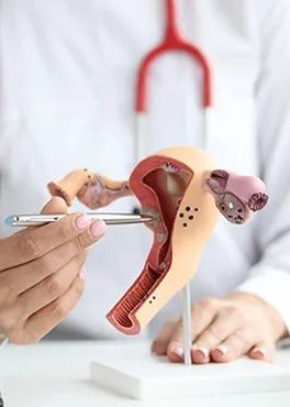 Middle East Obstetrics & Gynecolgy Conference Cover Image