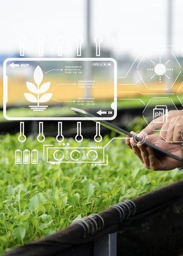 Global Vertical Farming Show 2025