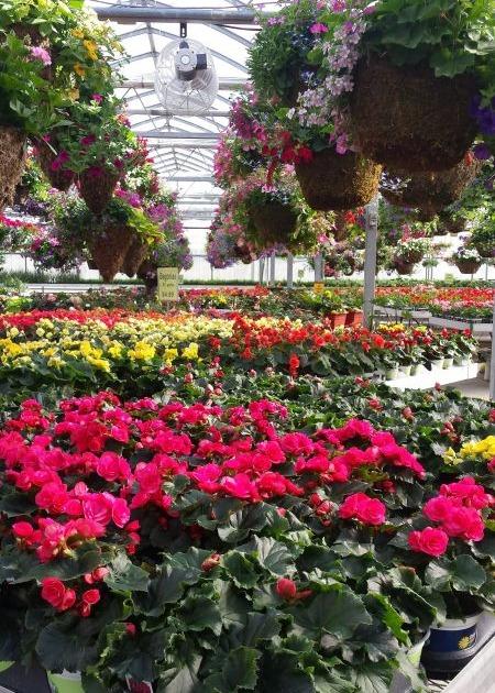 Northeast Greenhouse Conference and Expo
