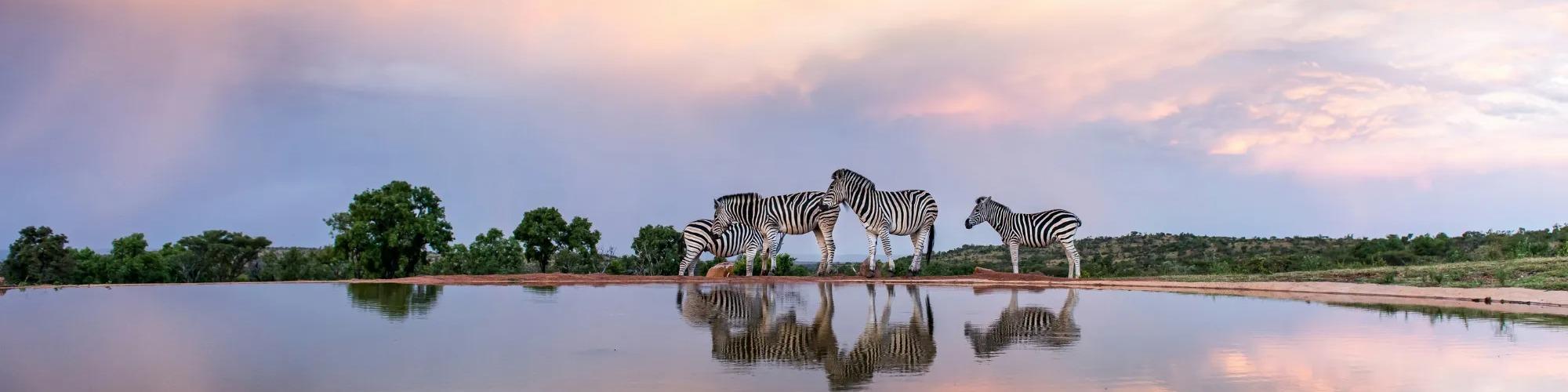 The Luxury Travel Fair cover image