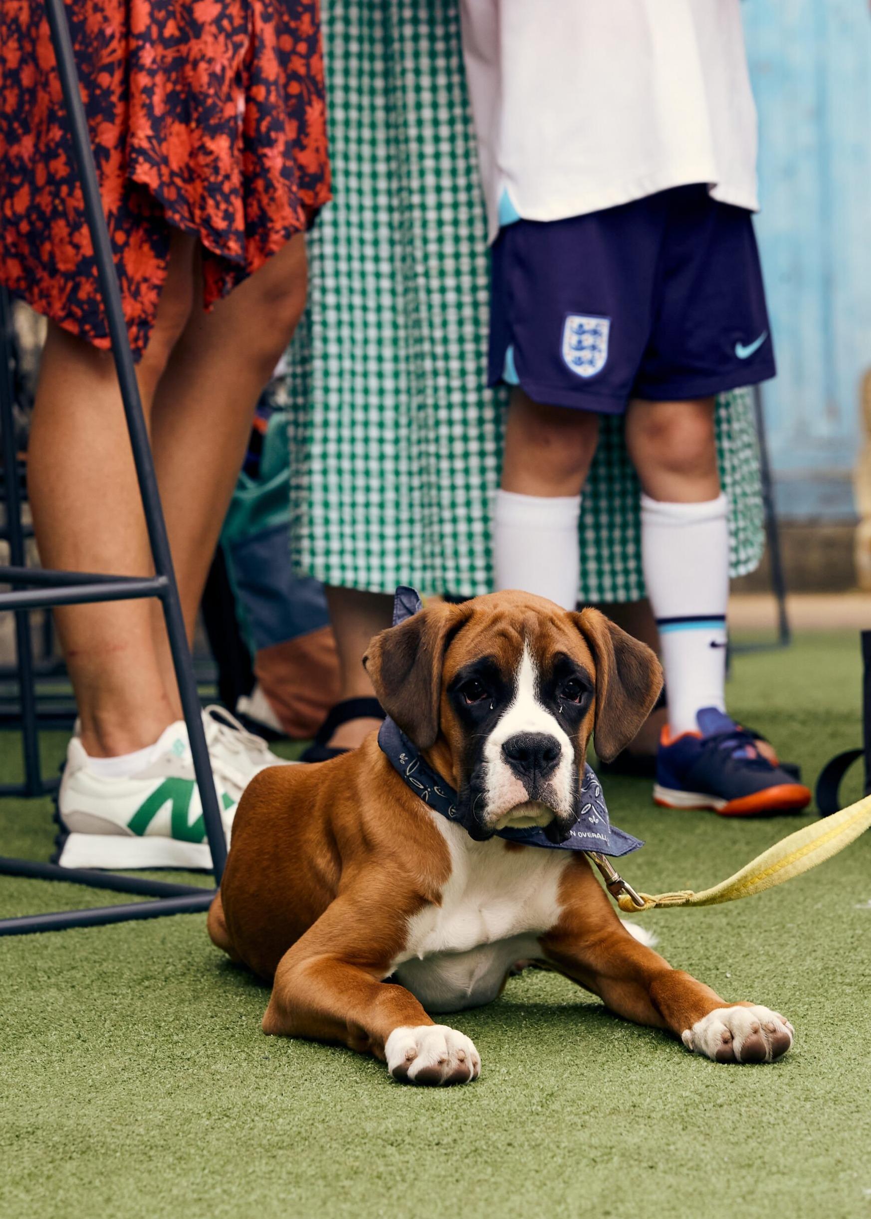 Peckham Festival cover image