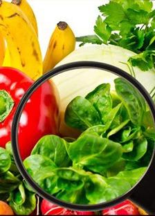 Dubai International Food Safety Conference
