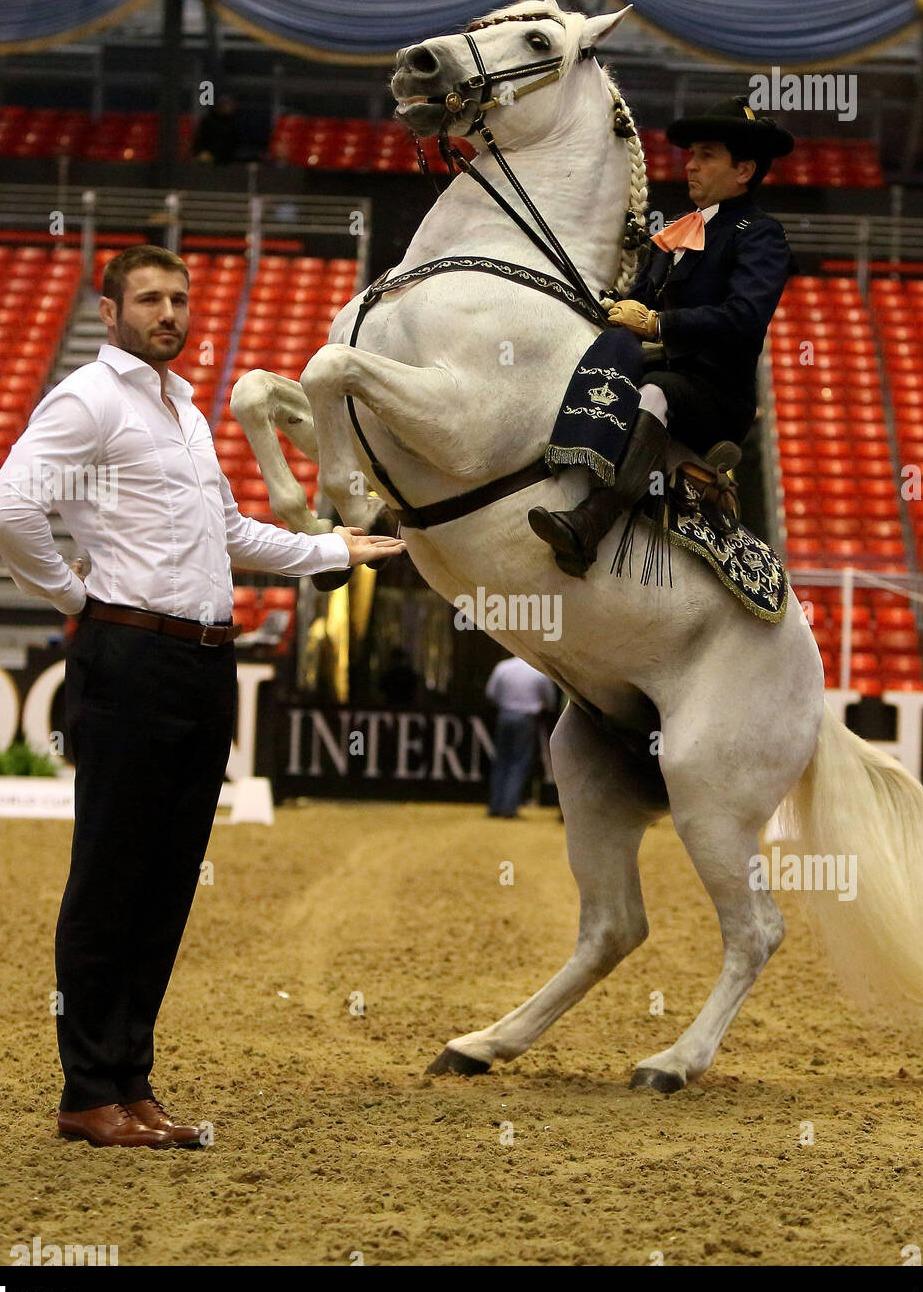 The London International Horse Show