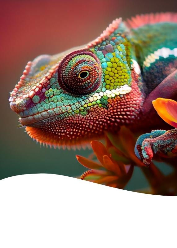 London Pet Show Live