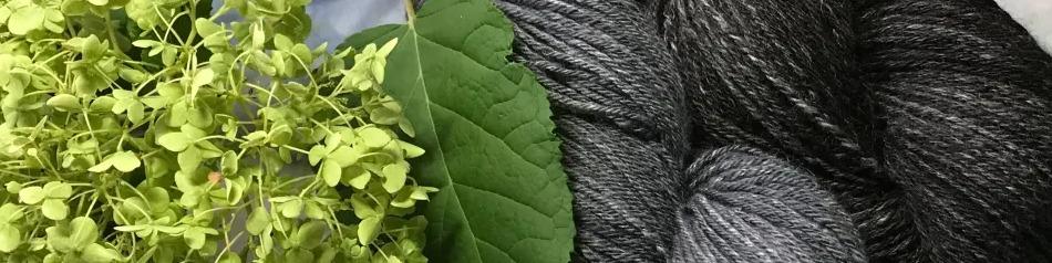 Beginning Spinning - Winter 2026 Cover Image