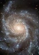 Family Fun Day Cover Image