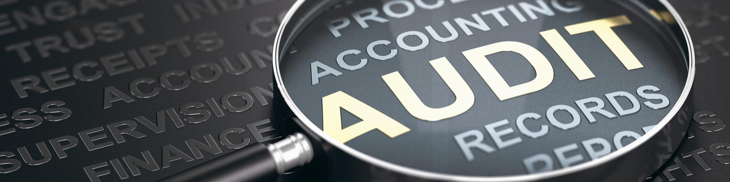 International Internal Audit & Control Dubai 2025