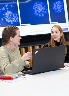 International PhD Student Cancer Conference cover image